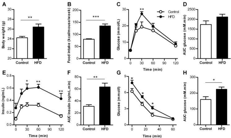 Figure 1. Metabolic characteristics of control mice and mice fed a high fat diet for 6 weeks