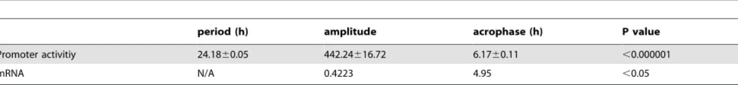 Figure 2. Western blot analysis of the indicated proteins. All cell lines were lysed and harvested 24 h after synchronization by 2-h dexamethasone treatment