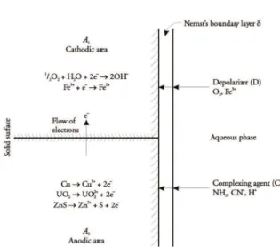 Figure 6. Mechanism  of  an  electrochemical  process  in  a solid-liquid reaction (Habashi [21])