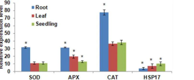 Fig 2. Transcript expression profile of oxidative stress responsive genes in menadione treated sunflower seedlings