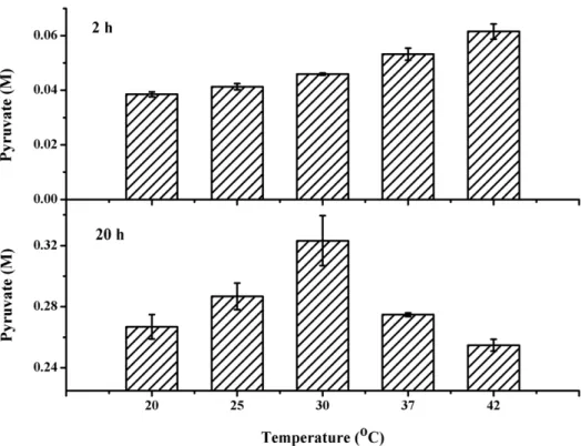 Figure 5. Effect of concentration of P. stutzeri SDM on the production of pyruvate from DL -lactate