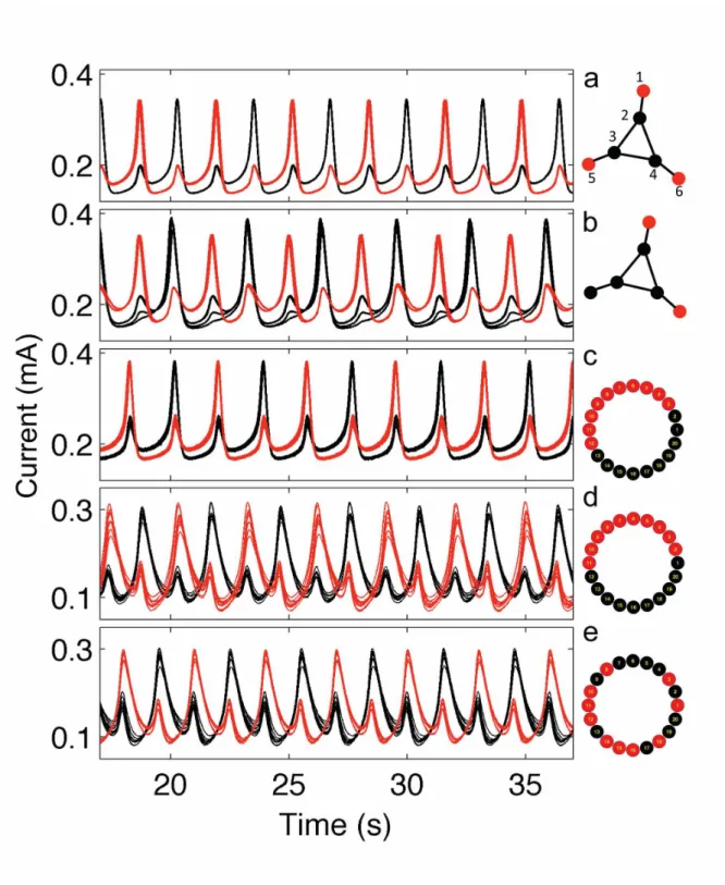 Figure 4.  Cluster dynamics of relaxation oscillators on extended triangle and NLR networks