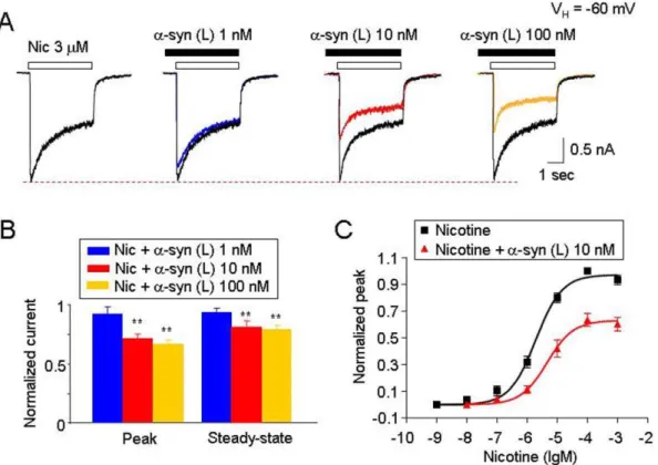 Fig. 2C and D). However, without pretreatment, 10 nM oligomeric a-synuclein (co-application with nicotine) did not exhibit significant inhibition of peak current responses to nicotine (Fig