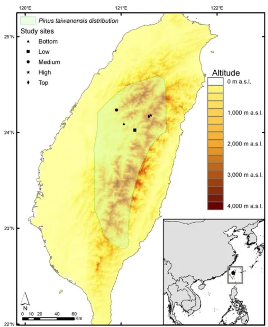 Fig 1. Map of Pinus taiwanensis sites sampled in Taiwan. We included Pinus taiwanensis distribution [65]