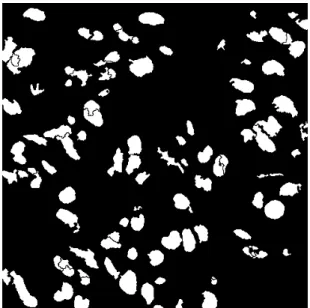 Figura 2.1: Recorte de uma imagem digital de slides de tecido humano (WSI) [15].