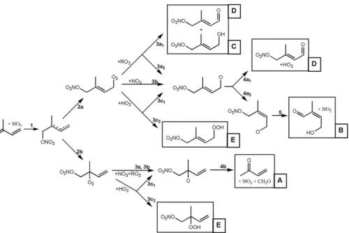 Fig. 1. Partial oxidation scheme for NO 3 + isoprene showing products resulting from initial addi- addi-tion of NO 3 at the C 1 position.