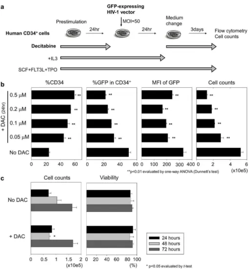 Figure 2. Decitabine increased CD34 expression and reduced cell proliferation in transduced human CD34 + cells