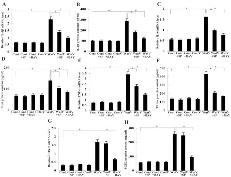 Figure 5. Cytokines and COX-2/PGE 2 upregulation by Wnt5a in macrophages. (A–F) Real-time PCR and ELISA showed that mRNA expression and protein secretion of IL-1b, IL-6 and TNF-a were upregulated in macrophages by Wnt5a transfection; the upregulation of th