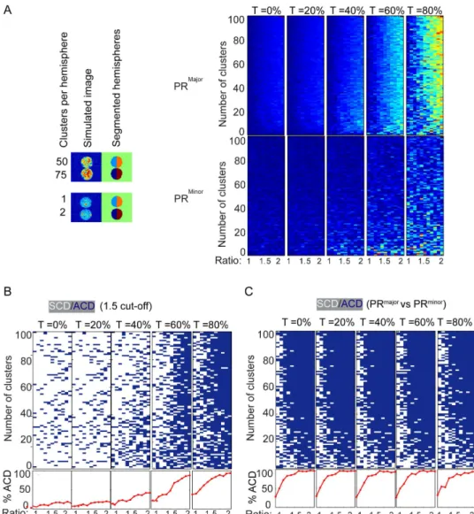 Figure 5. The effect of cluster number on the accuracy of PR measurements. Divisions were simulated to have increasing numbers of clusters ranged from 1 to 100 in increments of 1 for one of the daughter cells