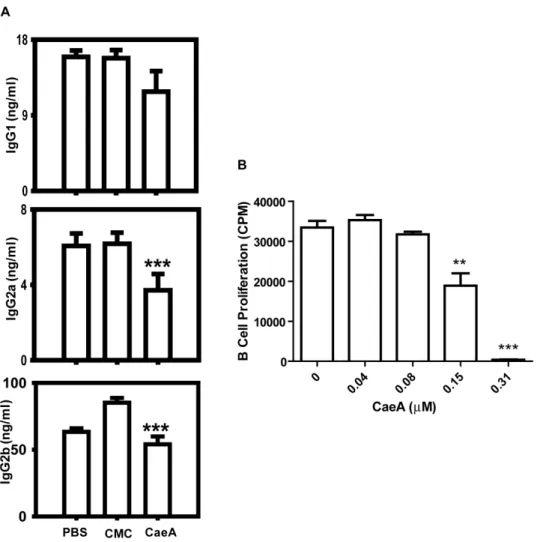Figure 6. CaeA retards the in vivo function of B cells. Antigen primed mice were treated with CaeA and the inhibition in the function of B cells was monitored