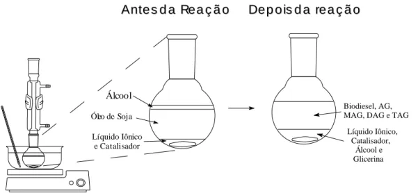 Figura  6.  Aparato  utilizado  nos  testes  catalíticos  e  assim  como  os  sistemas  multifásicos gerados, antes  e depois da reação