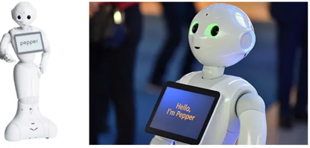 Figura 1 - Robô Pepper [18]. 