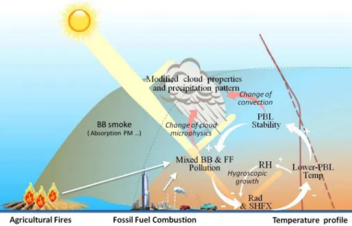 Fig. 8. A schematic figure for interactions of air pollution-PBL dynamics and aerosol-radiation- aerosol-radiation-cloud under a condition of mixed agriculture burning plumes and fossil fuel combustion  pollu-tants