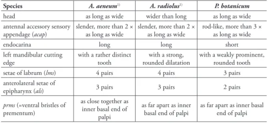 table 1. Character comparison among A. aeneum, A. radiolus and P. botanicum.