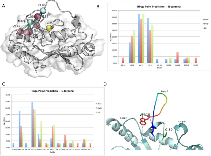 Figure 4. A cluster of hydrophobic interactions between L7 and L8 in inactive E2 conformations and hinges of L7 omega loop
