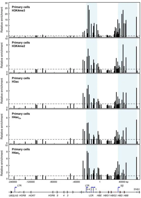 Figure 4. Histone modifications throughout the human b -globin locus in primary erythroid precursor cells