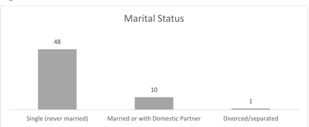 Figure 25 SC: Employment Status 