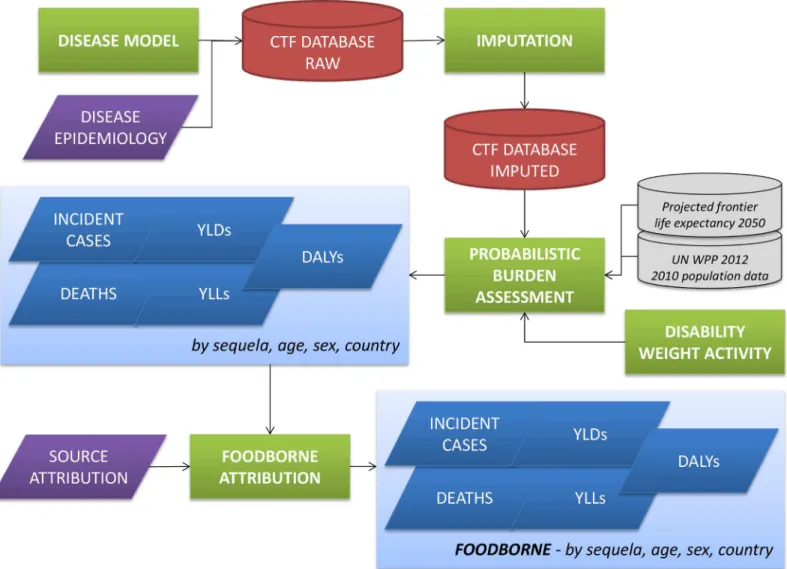 Fig 1 shows a schematic overview of the CTF workflow. The CTF structure is defined around the six distinctive components of this workflow, i.e., outline of disease models and collection of epidemiological data; design of a database template; development of