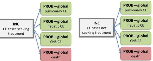 Fig 3. Computational disease model for Echinococcus granulosus. Rectangles define parent nodes, while rounded rectangles defined child nodes