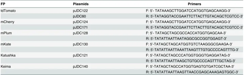 Table 1. Plasmids and primers.
