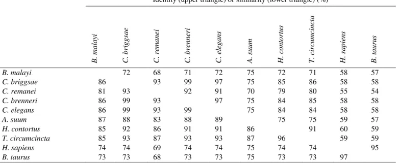 Table 1. Conservation of the amino acid sequence alignment shown in Figure 2. The values are the identity (upper triangle) or  the similarity (lower triangle)  expressed as a percentage and they were calculated using Clustal X (Thompson et al., 1997).