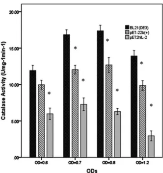 Figure 5. Catalase activity of wild type and recombinant E. coli  cells  (pET-22b(+),  pET2hIL2)  at  OD  0.6,  0.7,  0.8  and  1.2