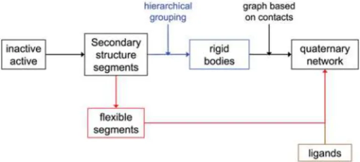 Figure 7 outlines the algorithm for elucidating quaternary motions and a network thereof from a comparison of two allosteric protein structures
