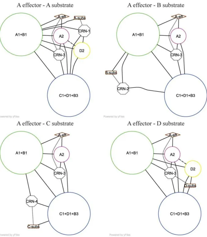 Figure S3 shows one pathway apiece for LacR and malic enzyme.