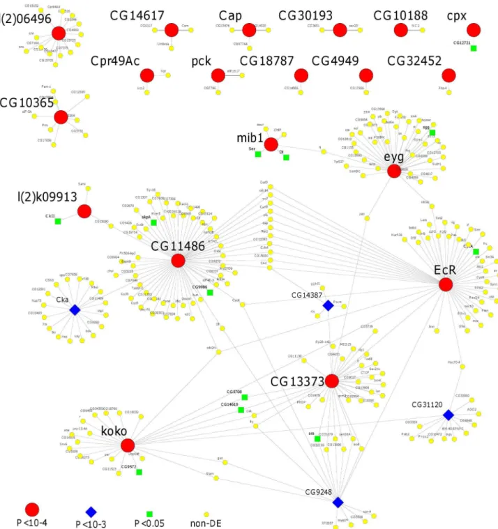 Figure 2.  Interaction networks for the most significantly differentially expressed genes resulting from the expression of female mating costs