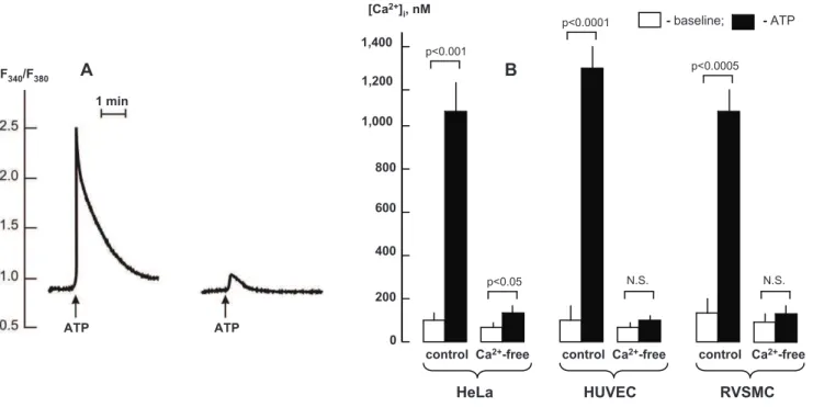 Figure 7. Effect of EGTA and BAPTA on Ca2+ signalling triggered by activation of purinergic receptors