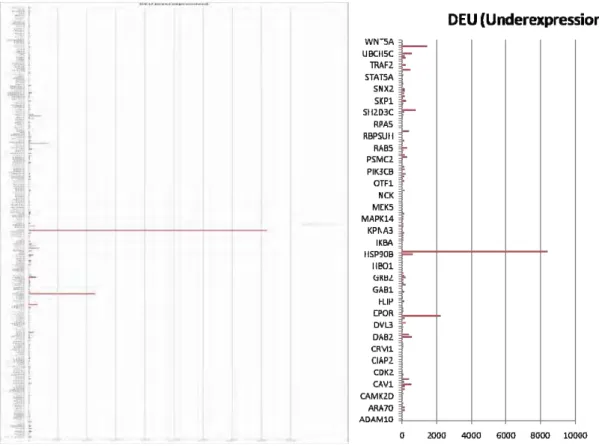 Fig. 3.7 Upregulated proteins in kidney  Fig. 3.8 Downregulated proteins in kidney Fig