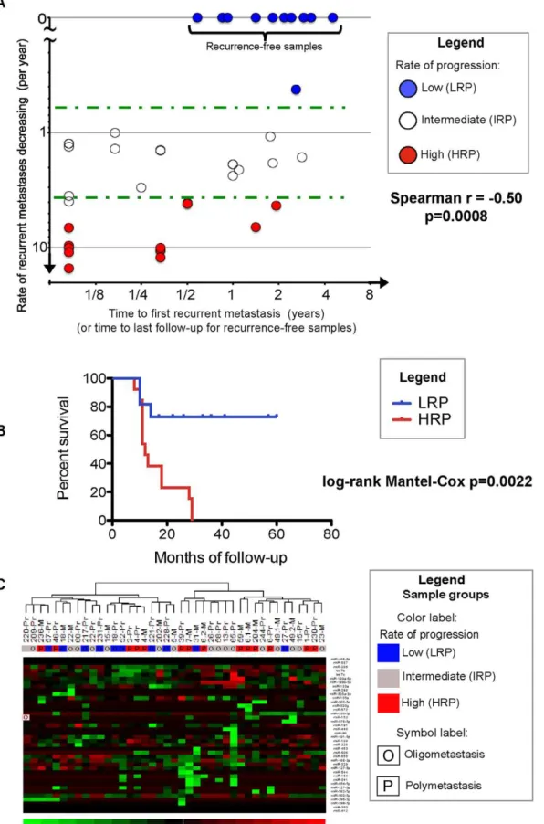 Figure 3. Rate of metastasis progression of patients in an independent validation dataset are associated to prioritized microRNAs discovered in patients with high vs