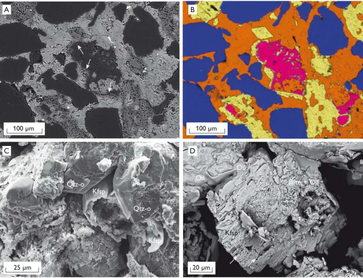 Fig. 3. Images showing diagenetic alteration of feldspars in Upper Jurassic sandstones that resulted in both reduction and increase of porosity