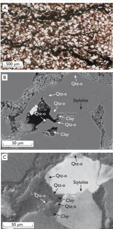 Fig. 4. Images showing development of quartz stylolites, quartz pressure solution and quartz overgrowths that are the main diagenetic features affecting the porosity outside the calcite-cemented parts of the sandstones.