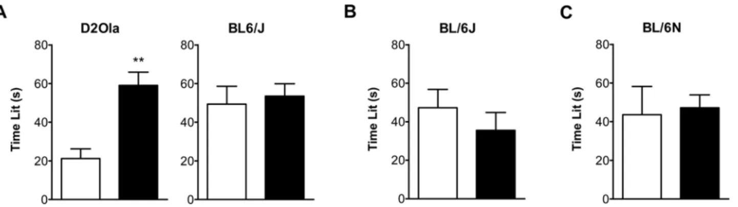 Figure 2. CMS effects on time spent in the lit compartment of the DaLi. (A) In D2Ola mice long-lasting CMS exposure (11 weeks) led to behavioural changes reflected by an increase in time spent in the lit compartment (700 lx) compared to the control group