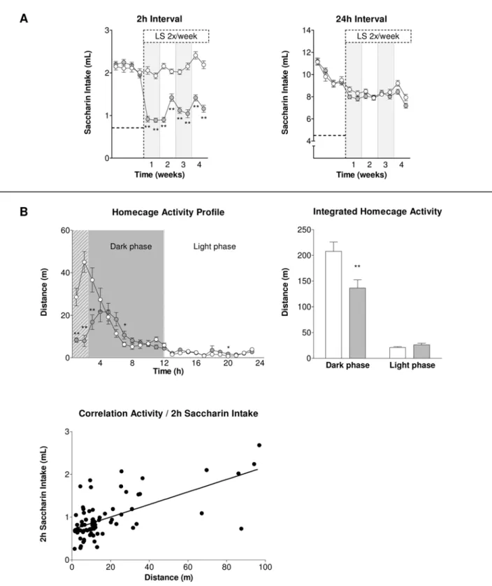 Figure 6. Effects of Light Stress (LS) on subsequent saccharin intake and homecage activity in BL/6J mice