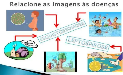 Figura 11 – Relacionando as imagens às suas respectivas doenças. 