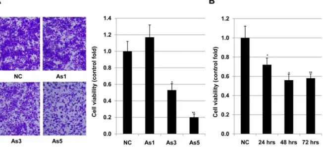 Figure 2. Effects of arsenic on invasion of HSC5 cells. Invasive ability of of HSC5 cells treated 0, 1.0, 3.0 and 5.0 mM of arsenic were evaluated by invasion assay