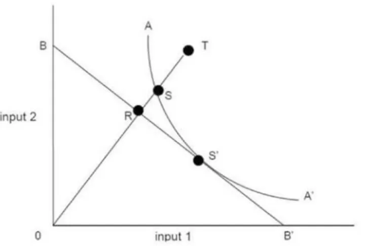 Fig 1. Farrell’s production possibilities frontier for two inputs and one output (adapted from Coelli [41].