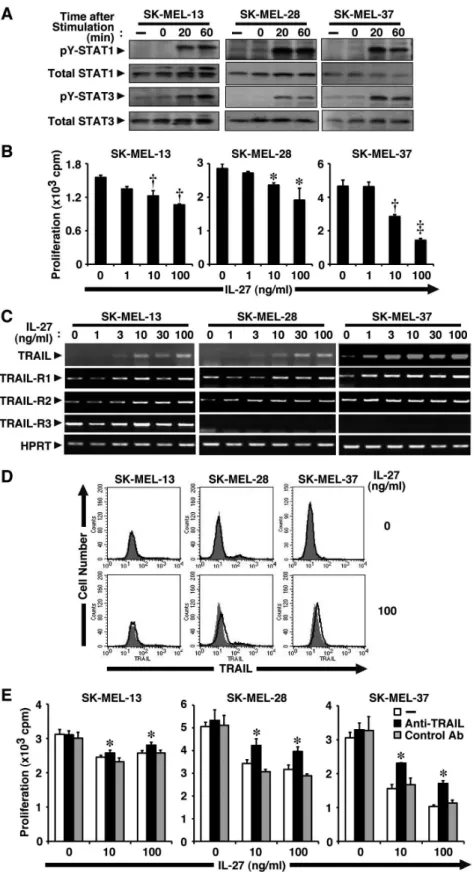 Figure 1. IL-27 induces TRAIL expression in human melanomas and inhibits their tumor growth partly in a TRAIL-dependent manner