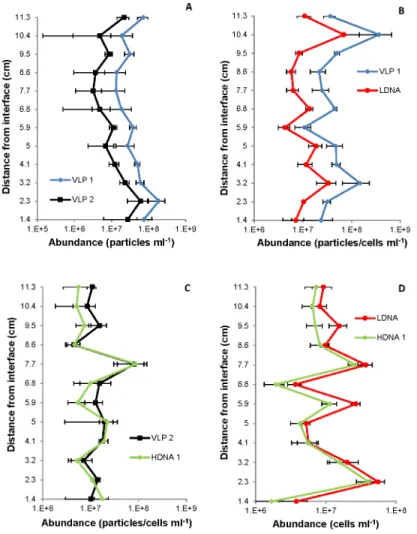 Fig 5. Single vertical profiles showing correlations between VLP and prokaryotic subpopulations