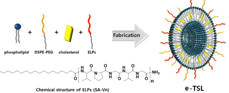 Figure 2. Transmittance profile of ELP-lipid conjugates of (A) 1 mM, (B) 0.5 mM, (C) 0.2 mM, and (D) 0.1 mM in PBS at pH 7.4., and transition temperature as function of the concentration (mM) of various ELP-lipid conjugates (E)