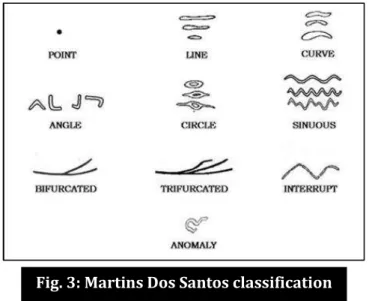 Fig. 3: Martins Dos Santos classification 