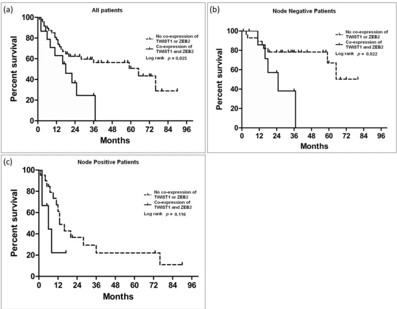Fig 2. Association of co-expression of TWIST1 and ZEB2 with survival. (a) OSCC patients with co-expression of TWIST1 and ZEB2 have poorer overall survival compared to patients with no co-expression of these two proteins