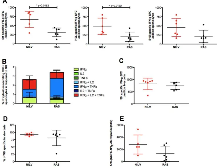 Figure 4. Three immunizations with NILV and RAS induce comparable pre-challenge CSP-specific immune responses