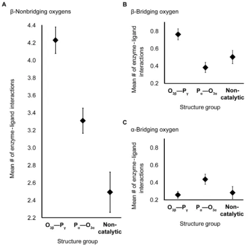 Figure 3. Mean number of enzyme-ligand interactions. Interactions are shown with nonbridging b- (A), bridging b- (B) and bridging a-oxygens (C) in the O 3b _P c cleaving-, P a _O 3a cleaving- and non-catalytic-NTP-binding sites