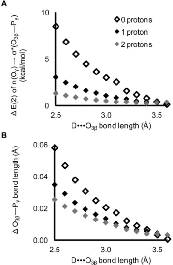 Figure 8. Impact of protonation of the c-oxygens. Protonation at the c-oxygens decreases the effects of the O 3b hydrogen bond on both A) the magnitude of hyperconjugation and B) the O 3b —P c bond length.