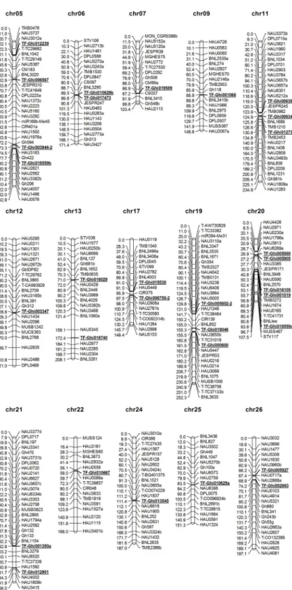 Fig 2. Locations of polymorphic TF loci on the BC 1 genetic linkage map. TF markers are underlined and bolded