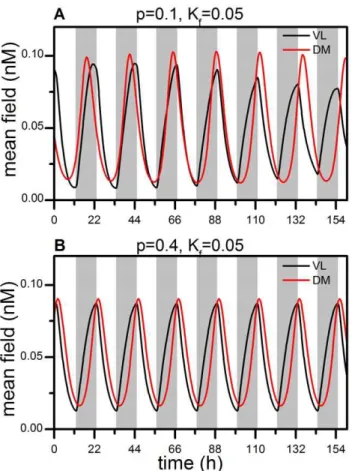 Figure 1. Mean field oscillations of VL and DM during a 22-h T cycle. (A) VL follows the T cycle, whereas DM free runs for the parameters p ~ 0:1 and K f ~ 0:05