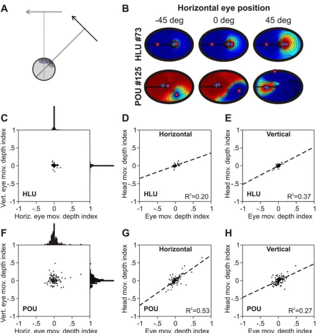 Figure 11. Depth from eye/head rotations. A. Schematic illustrating how eye/head rotations of the same visual hand-target vector lead to different motor depths